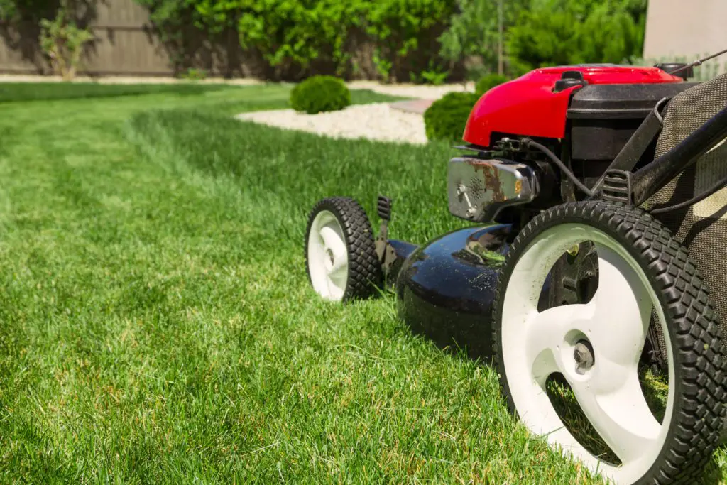Lawn Mowing Services For Pueblo, CO 