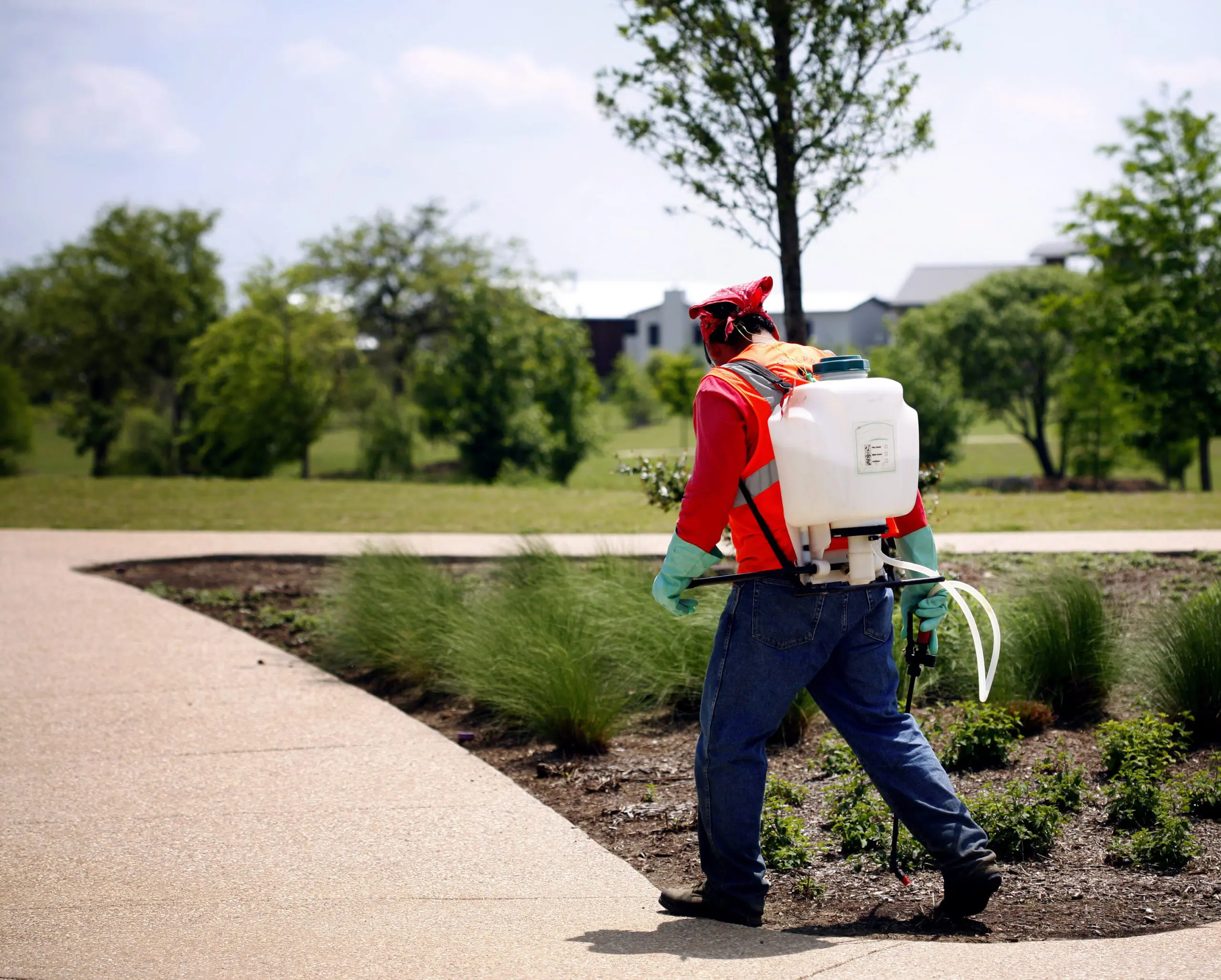 Stock Photo 8 - Weed Control Stock Photo 8 - Weed Control