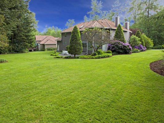 Pueblo, CO Lawn & Landscape Companies