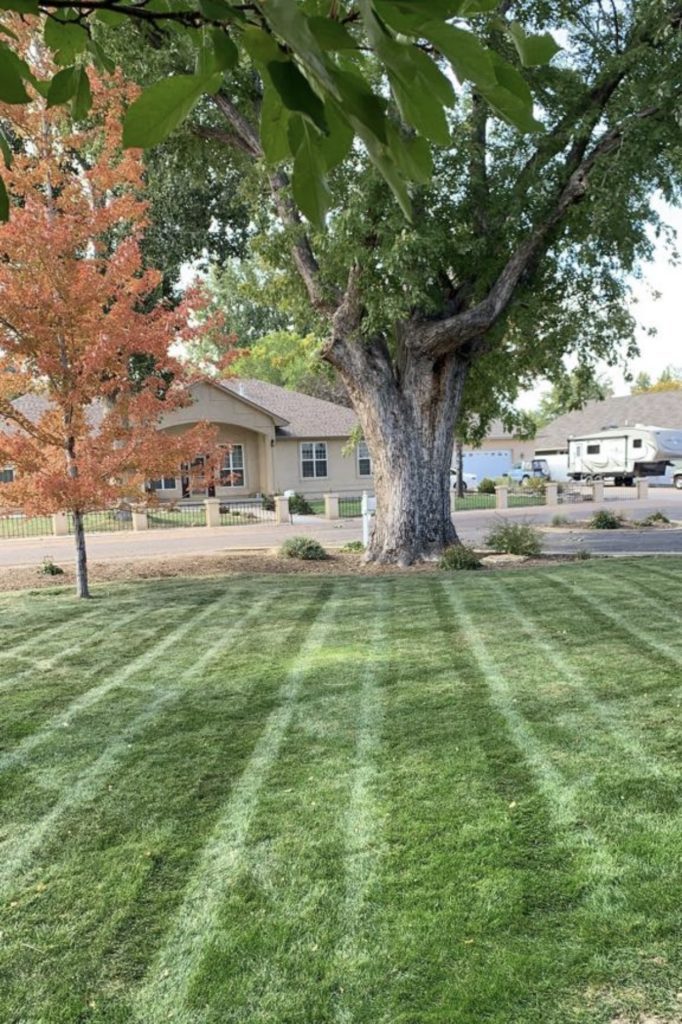 Canon City, CO Lawn Mowing Service