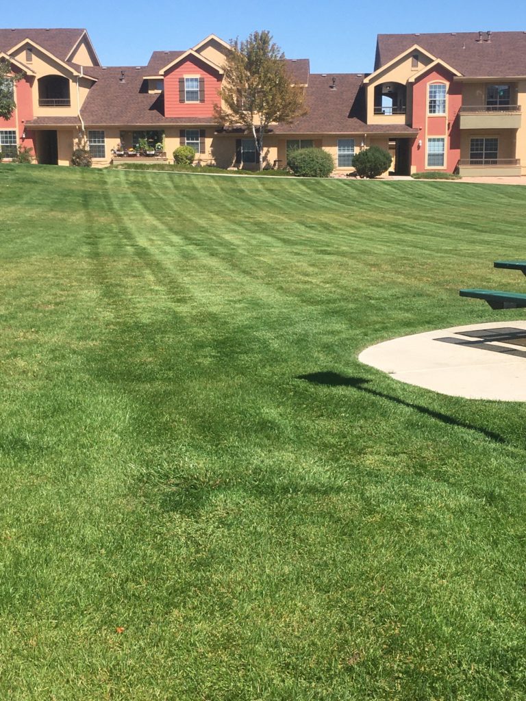 Lawn Care Company Pueblo, CO