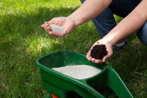 Best Lawn Care Secret - When to Fertilize Your Lawn