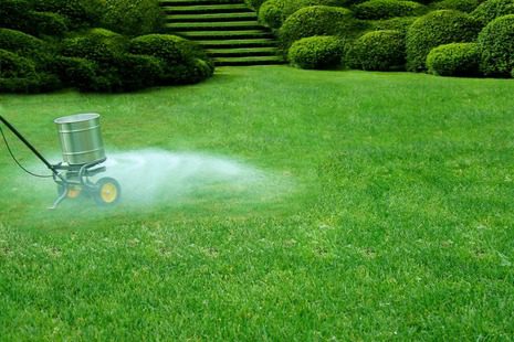 Tips On When To Fertilize Your Lawn