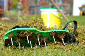 Tips to Prep Your Lawn for Spring