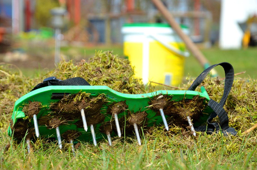 Tips to Prep Your Lawn for Spring