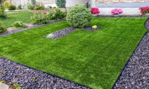 Why Lawn Care is Important