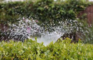 Should You Hire a Professional for Sprinkler Start Up In Spring