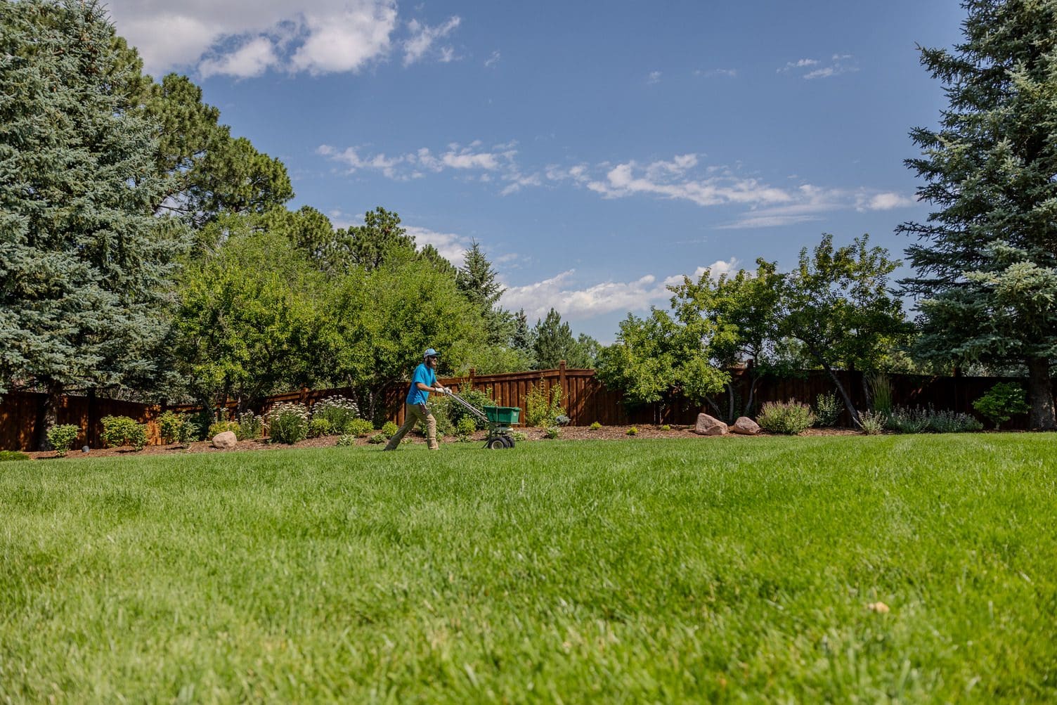 All Purpose Landscaping 2024-48